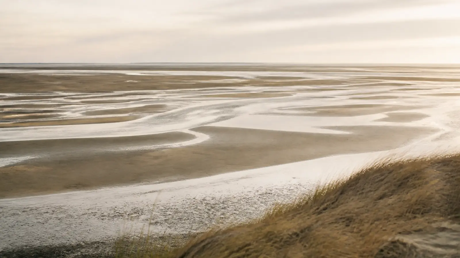 Weite Wattflächen bei Niedrigwasser mit flachen Wasserläufen und flachem Horizont