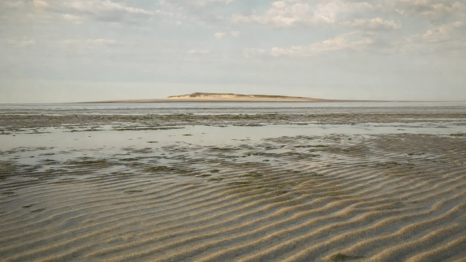Nordseewatt bei Niedrigwasser mit Rippelmustern im nassen Sand